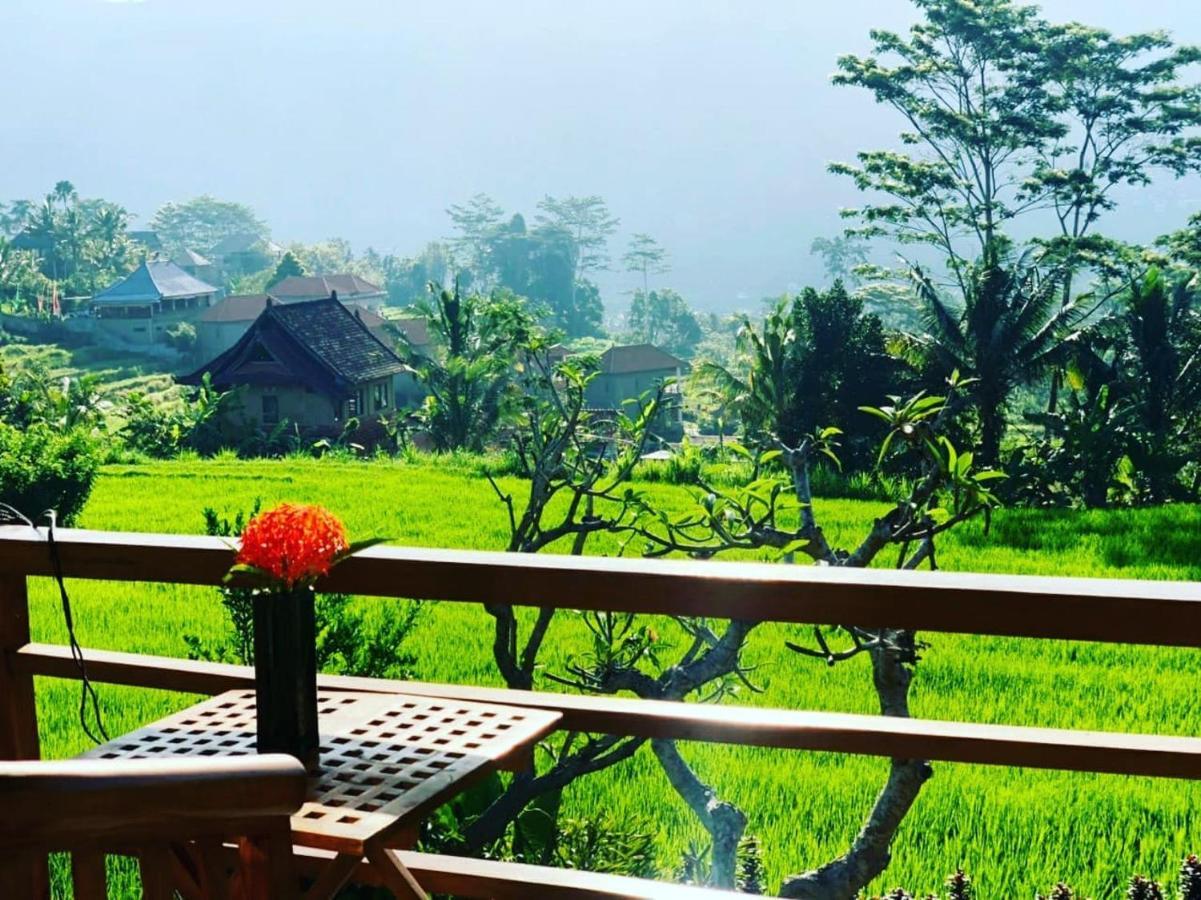 Noka Homestay Sidemen  Ngoại thất bức ảnh