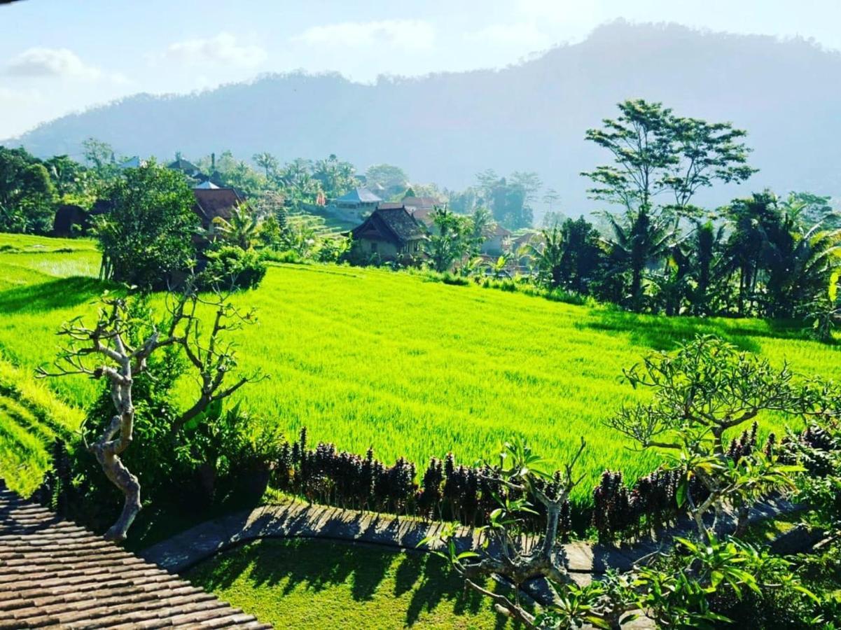 Noka Homestay Sidemen  Ngoại thất bức ảnh